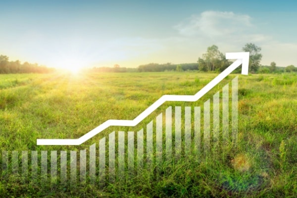 Qontum | Taxe sur la cession à titre onéreux d’un terrain nu devenu constructible : du nouveau pour 2025 !