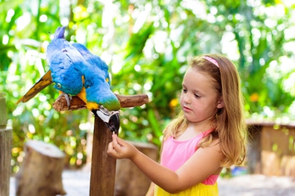 Parcs zoologiques : vers une fin du taux réduit de TVA ? 8 Qontum | Parcs zoologiques : vers une fin du taux réduit de TVA ?