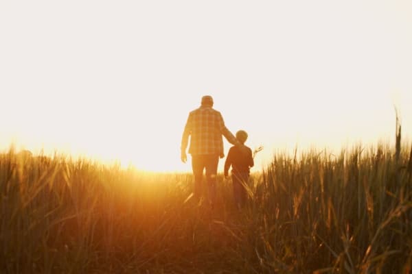 Pension d’orphelin : aussi pour les enfants d’agriculteurs ! 7 Qontum | Pension d’orphelin : aussi pour les enfants d’agriculteurs !