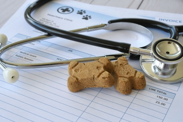 Qontum | Frais de vétérinaires et d’alimentation animale : une révision de la TVA en vue pour les SPA ?