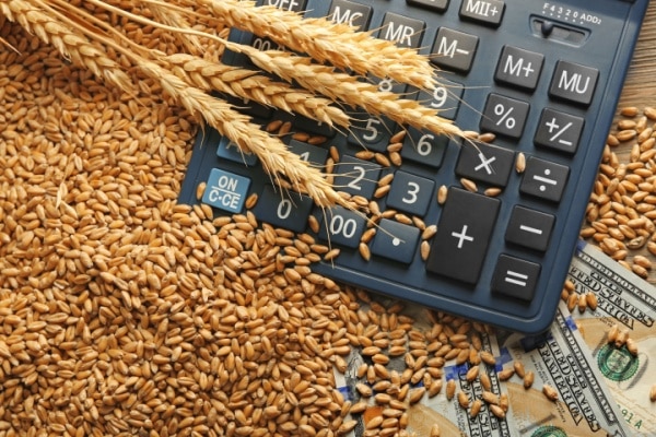 Qontum | Coopératives agricoles d’approvisionnement : toujours exonérées d’impôt sur les sociétés ?