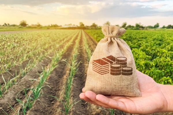 Qontum | Jeunes agriculteurs : du nouveau du côté des exonérations sociales !