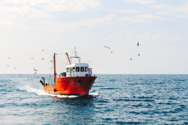 Exonération partielle d’impôt sur le revenu des marins pêcheurs : pour quel montant ? 16 Qontum | Exonération partielle d’impôt sur le revenu des marins pêcheurs : pour quel montant ?