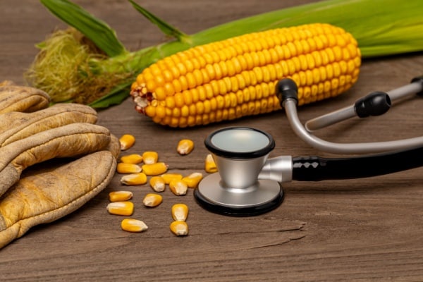 Qontum | Travailleurs agricoles : bientôt du nouveau en matière de suivi de l’état de santé !
