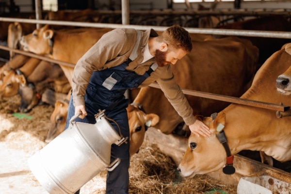 Nouvelles mesures fiscales en faveur du secteur agricole : c’est déjà parti ? 7 Qontum | Nouvelles mesures fiscales en faveur du secteur agricole : c’est déjà parti ?