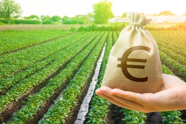 Qontum | Taxe foncière sur les terres agricoles : une exonération déjà en hausse ?