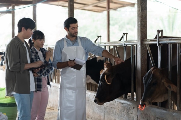 Qontum | Travailleurs agricoles : une nouvelle aide à la promotion collective agricole