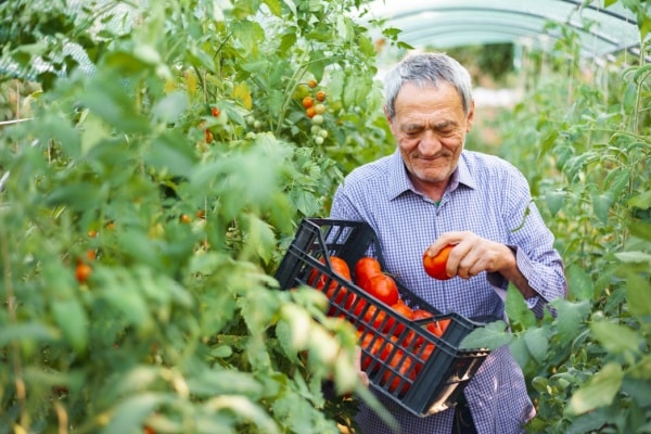 Retraite des non-salariés agricole : alignement sur le régime général 16 Qontum | Retraite des non-salariés agricole : alignement sur le régime général