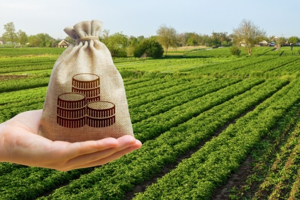 Impôts et taxes pour le secteur agricole : ce qui va changer en 2026 14 Qontum | Impôts et taxes pour le secteur agricole : ce qui va changer en 2026