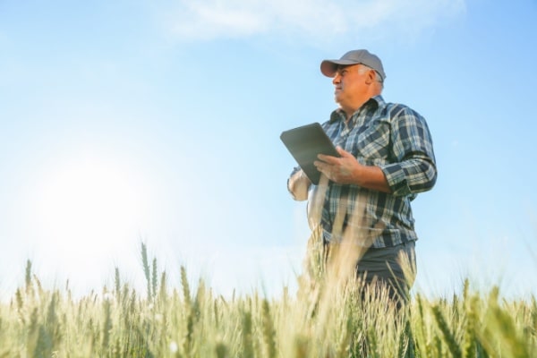Qontum | Retraite agricole : le point RCO revalorisé en 2025