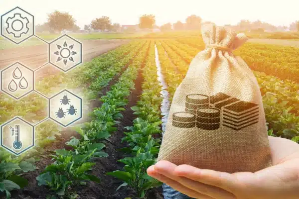 Agriculture à Saint-Pierre-et-Miquelon : une aide à l’installation possible 15 Qontum | Agriculture à Saint-Pierre-et-Miquelon : une aide à l’installation possible