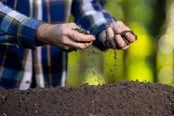 Produits fertilisants : une définition commune des usages 11 Qontum | Produits fertilisants : une définition commune des usages