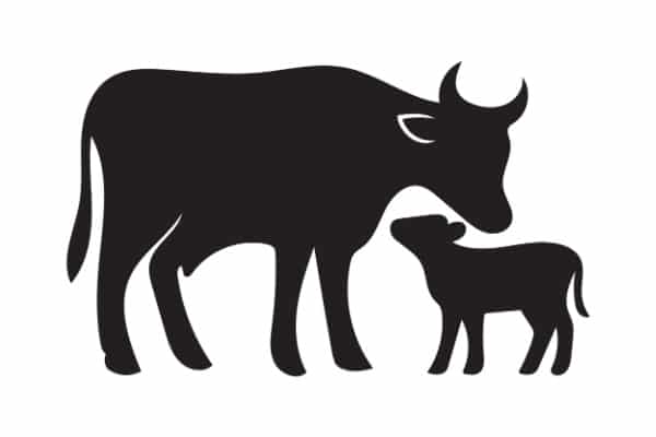 Qontum | Secteur agricole : le point sur les aides en juin 2026