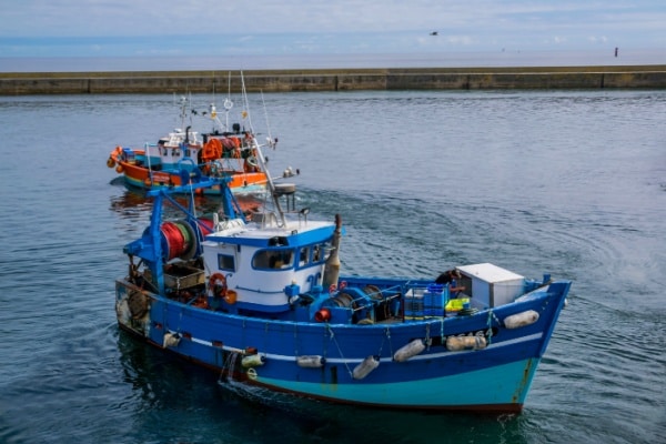 Secteur de la pêche : l’aide à l’achat de carburant adaptée 10 Qontum | Secteur de la pêche : l’aide à l’achat de carburant adaptée