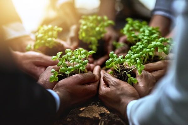 Qontum | Soutien aux exploitations agricoles en difficultés : des aides possibles