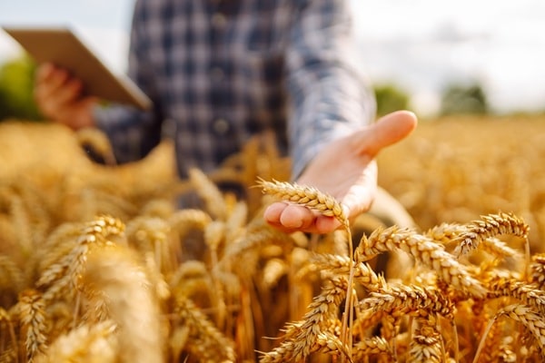Cotisations agricoles : du nouveau pour le calcul en 2027 8 Qontum | Cotisations agricoles : du nouveau pour le calcul en 2027