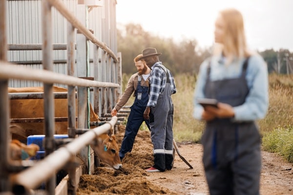 Qontum | Maladies professionnelles agricoles : les conditions de diagnostic sont simplifiées